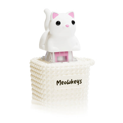 Meowkey - Fidget Toy that Meows!