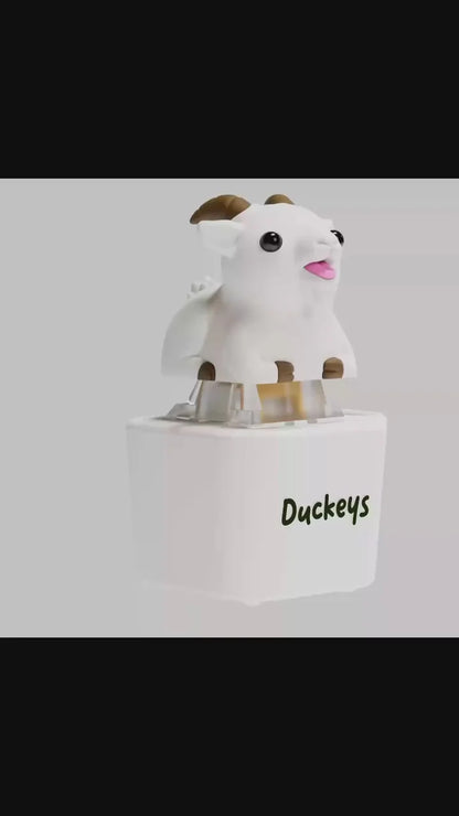 Baakey- Fidget toy that Screams!