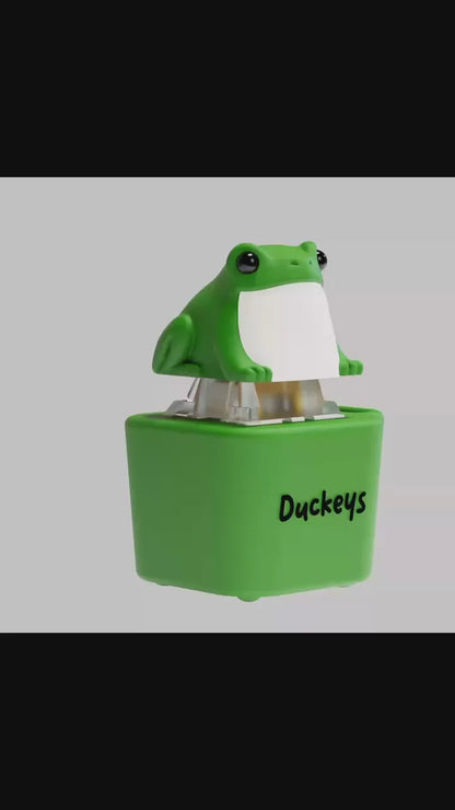 Croakey - Fidget toy that Ribbits!