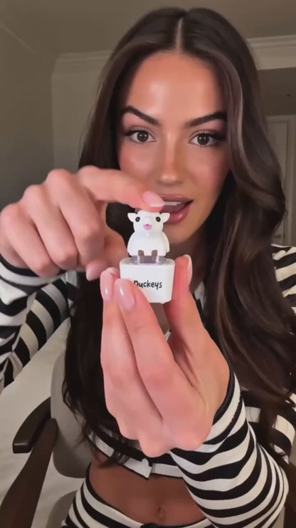 Baakey- Fidget toy that Screams!